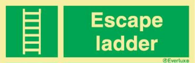 Safety sign, photoluminescent vinyl, First aiders 